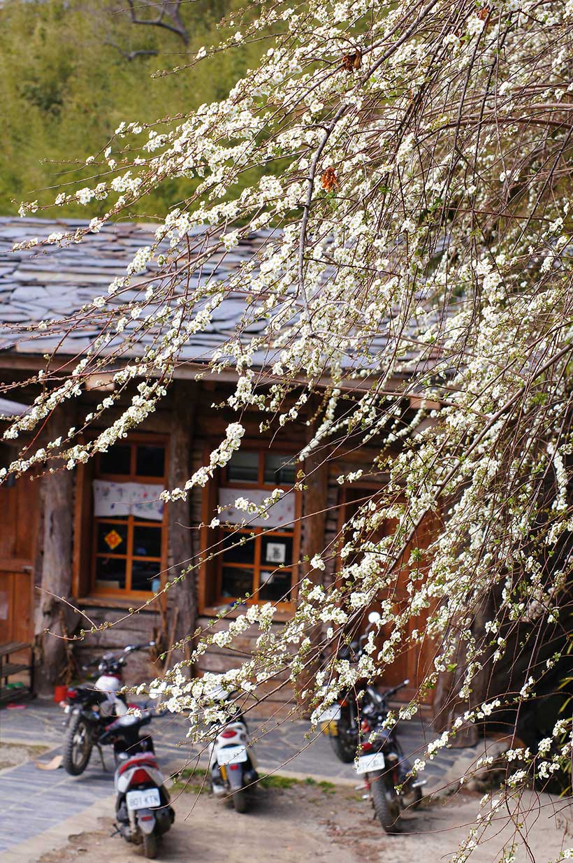 新光國小司馬庫斯實驗分班影像2